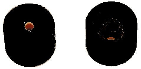 Ivoire X-pro noir (réf.1334)