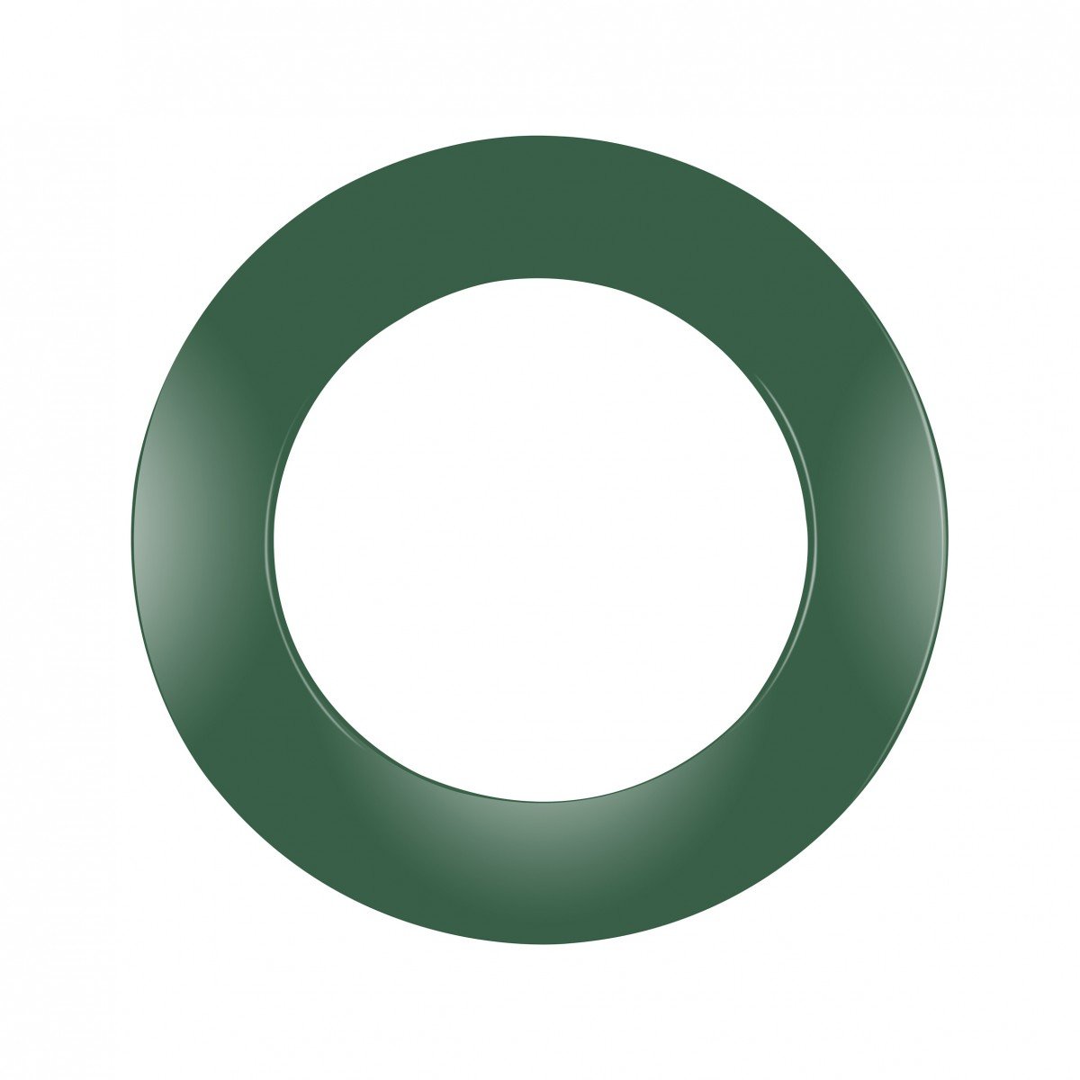 Anneau Protection Cible Darts Vert (réf. 4613)