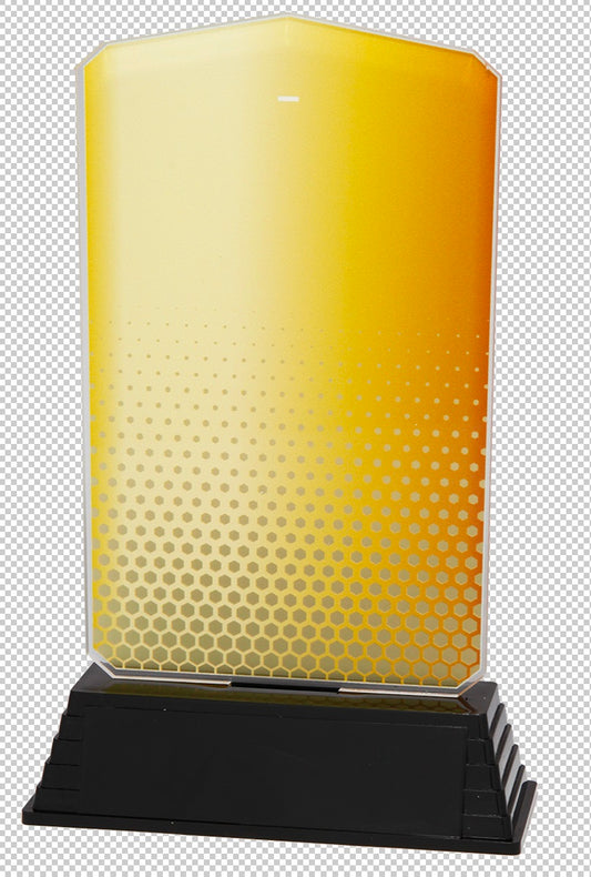 Trophée Acrylique (réf. AC100.01)