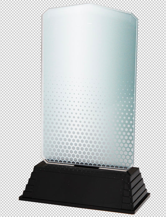 Trophée Acrylique (réf. AC100.02)