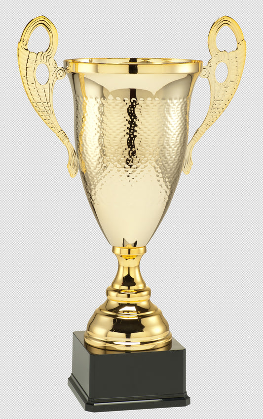 Coupe - Trophée en 8 tailles (réf. LT.052)