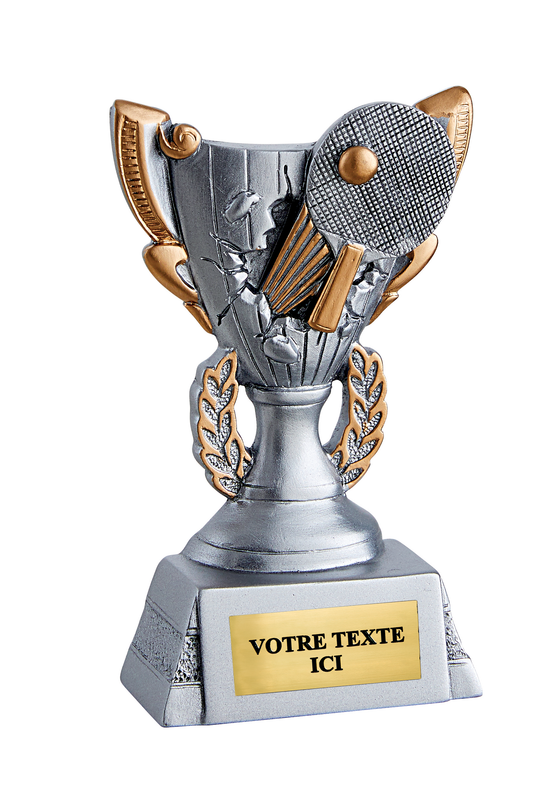 Résine Tennis de Table (réf. RS 5017)