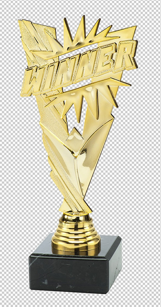 Trophée "Winner" (réf. ST.189)