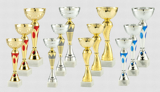 Lot de 12 coupes (réf. LOT-5)