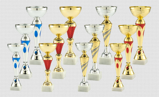 Lot de 12 coupes (réf. LOT-6)