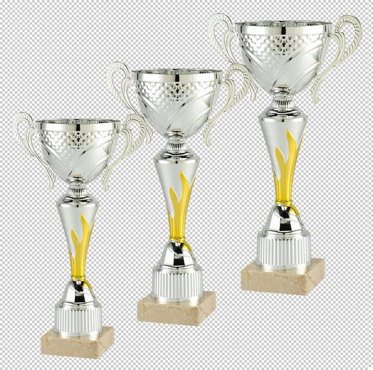 Lot de 3 coupes (réf. LOT-8)