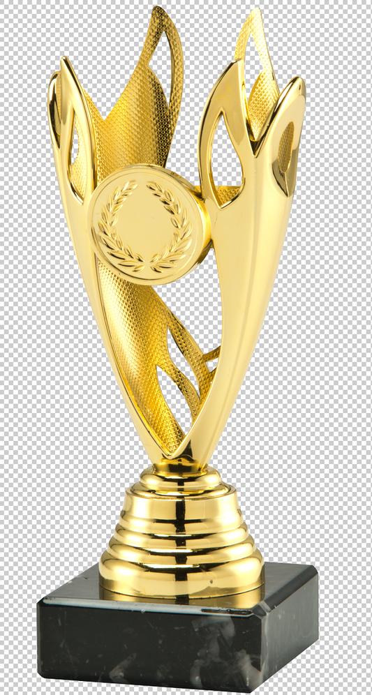 Coupe en 3 couleurs (réf. SET.351)