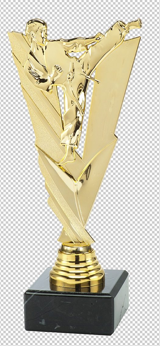 Trophée "Sport de combat" (réf. ST.208.01.A)