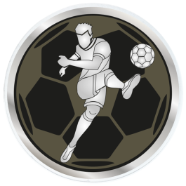 Coupe - Trophée en 3 tailles (réf. ST.310)