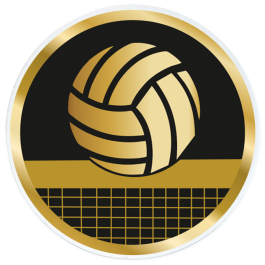 Trophée Acrylique (réf. AC100.30)