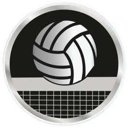 Coupe - Trophée en 3 tailles (réf. ST.310)