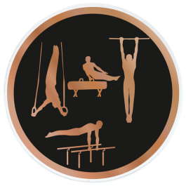 Trophée Acrylique (réf. AC100.01)