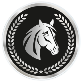 Trophée Acrylique (réf. AC100.30)