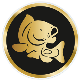 Trophée Acrylique (réf. AC100.01)