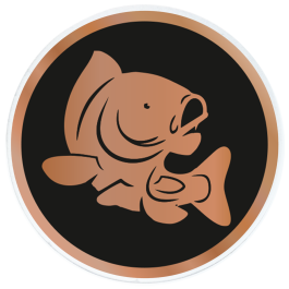 Trophée Acrylique (réf. AC100.00)