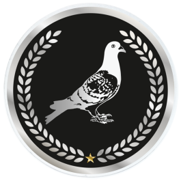 Coupe - Trophée en 3 tailles (réf. ST.310)