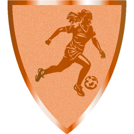 Souvenir en 3 couleurs (réf. Q165GS)