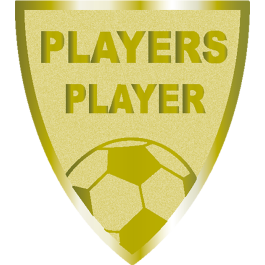 Souvenir en 3 couleurs (réf. Q165GS)