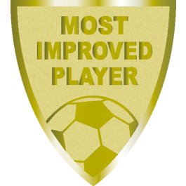 Souvenir en 3 couleurs (réf. X620)