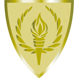 Souvenir en 3 couleurs (réf. Q165GS)