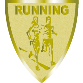 Souvenir en 3 couleurs (réf. Q165GS)