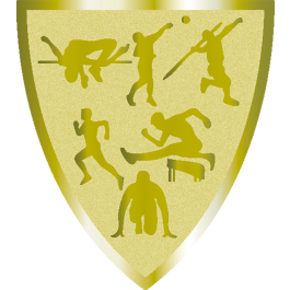 Souvenir en 3 couleurs (réf. Q165GS)