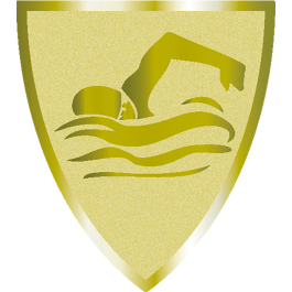 Médaille "Neutre" 60mm (réf. DI6002)