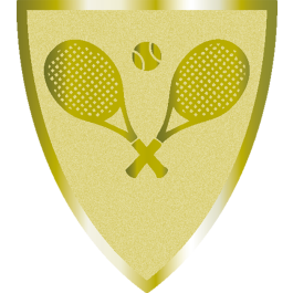 Souvenir en 3 couleurs (réf. Q165GS)