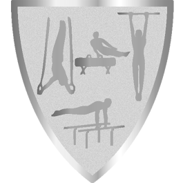 Médaille "Neutre" 60mm (réf. DI6002)