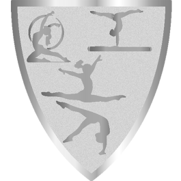 Médaille "Neutre"  Originale (réf. D129)