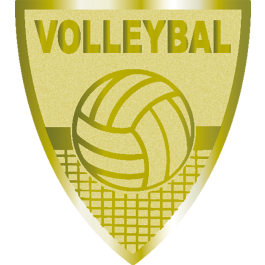 Coupe en 3 couleurs (réf. SET.359)