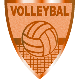 Coupe en 3 tailles & 3 couleurs (réf. ET.473)