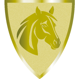 Souvenir en 3 couleurs (réf. Q165GS)