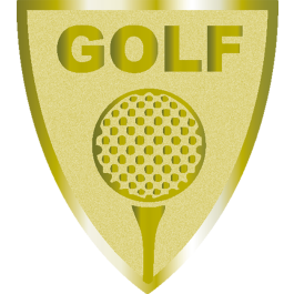 Souvenir en 3 couleurs (réf. X620)