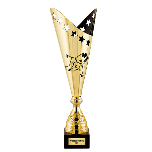 Trophée Sports de Combat (réf. NK - CP5314)