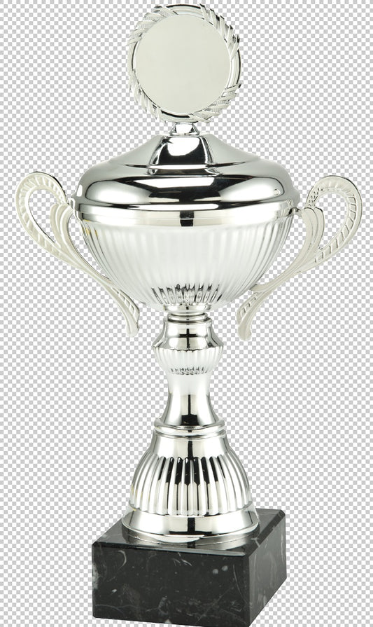 Coupe - Trophée en 12 tailles (réf. MT.141)