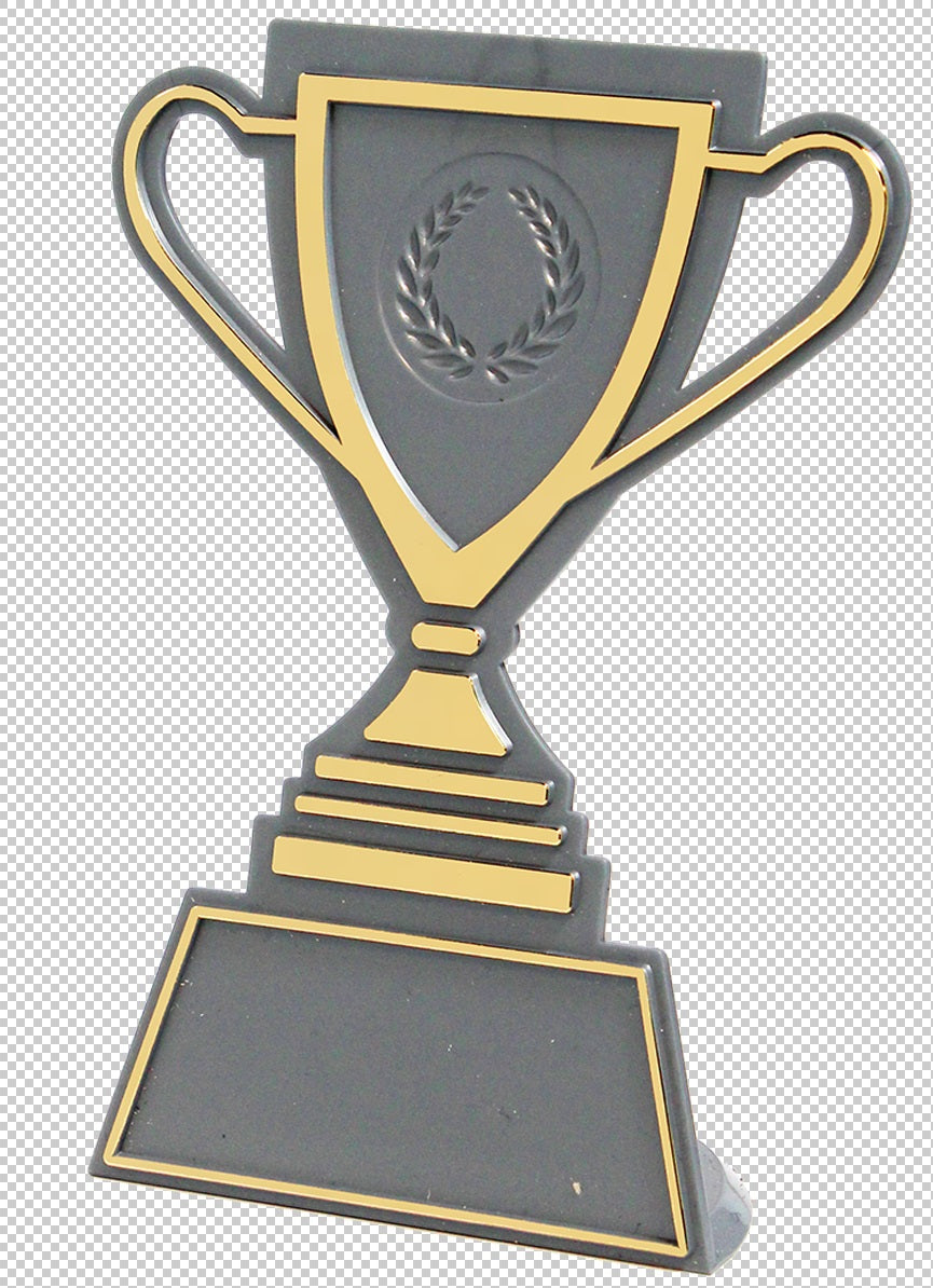 Souvenir en 3 couleurs (réf. Q165GS)