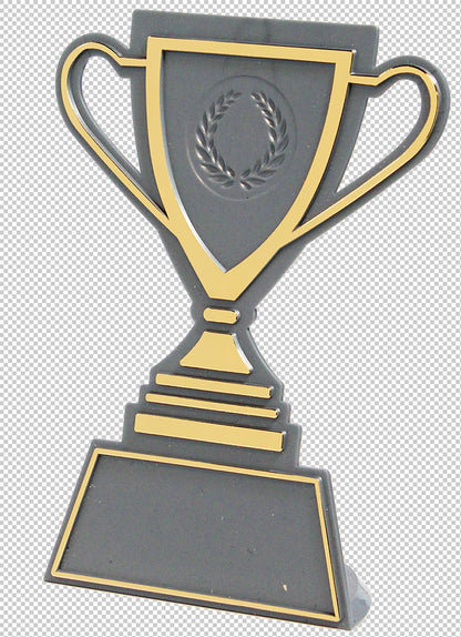 Souvenir en 3 couleurs (réf. Q165GS)