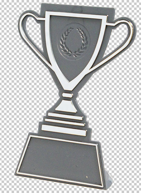 Souvenir en 3 couleurs (réf. Q165GS)