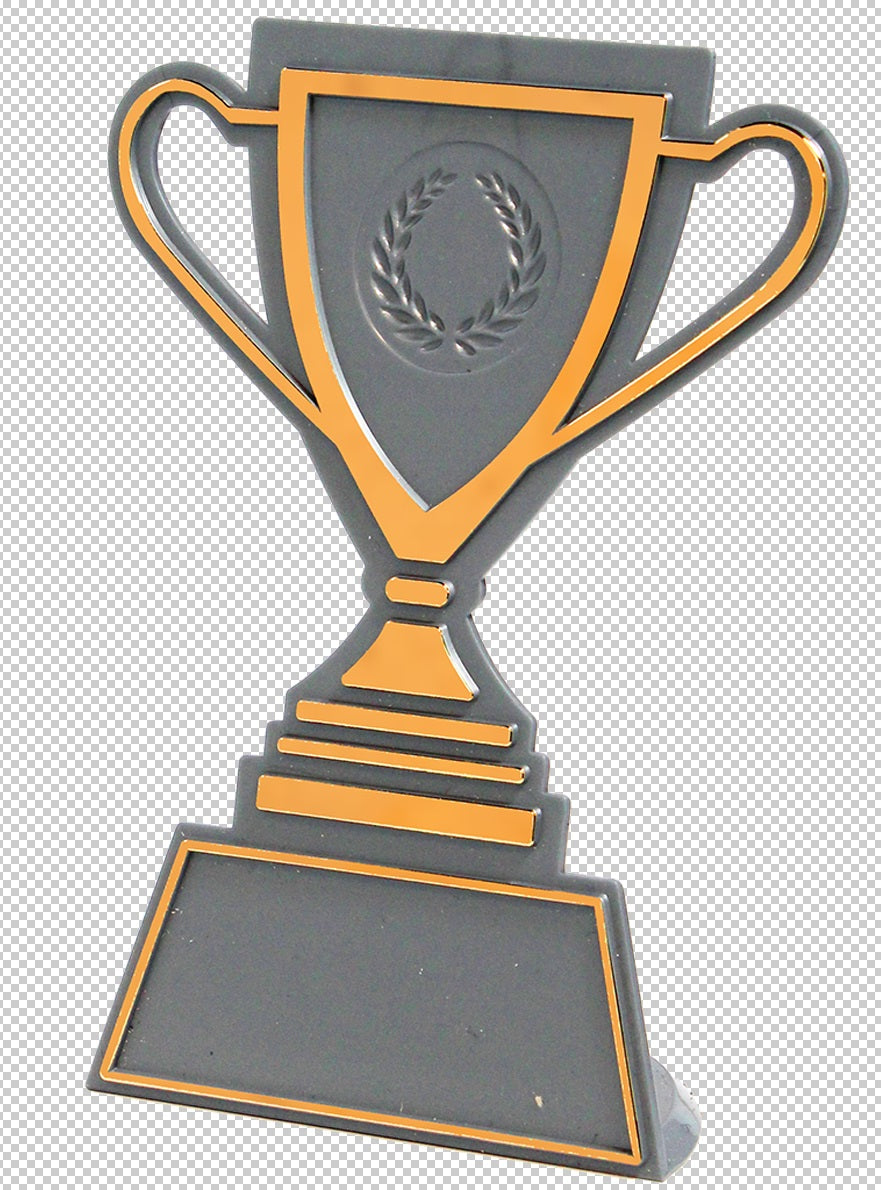 Souvenir en 3 couleurs (réf. Q165GS)