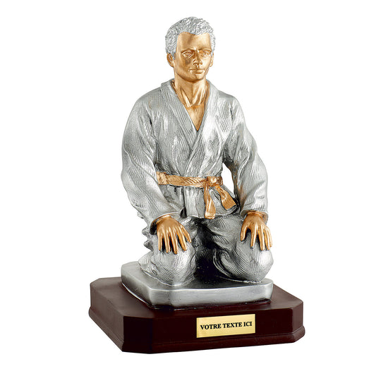 Résine Sports de Combat (réf. NK - RS0705)