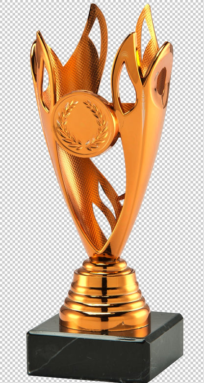 Coupe en 3 couleurs (réf. SET.351)