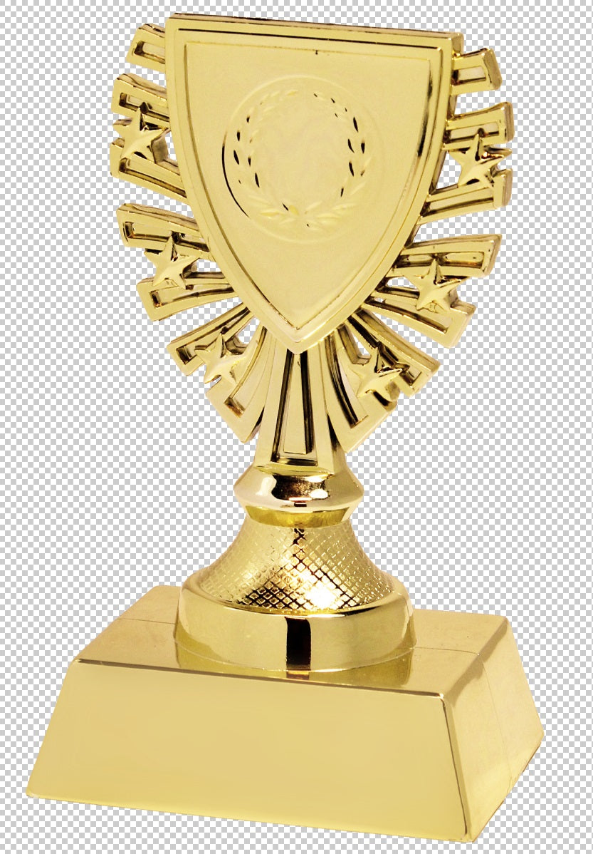 Souvenir en 3 couleurs (réf. X620)