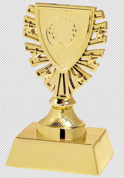 Souvenir en 3 couleurs (réf. X620)