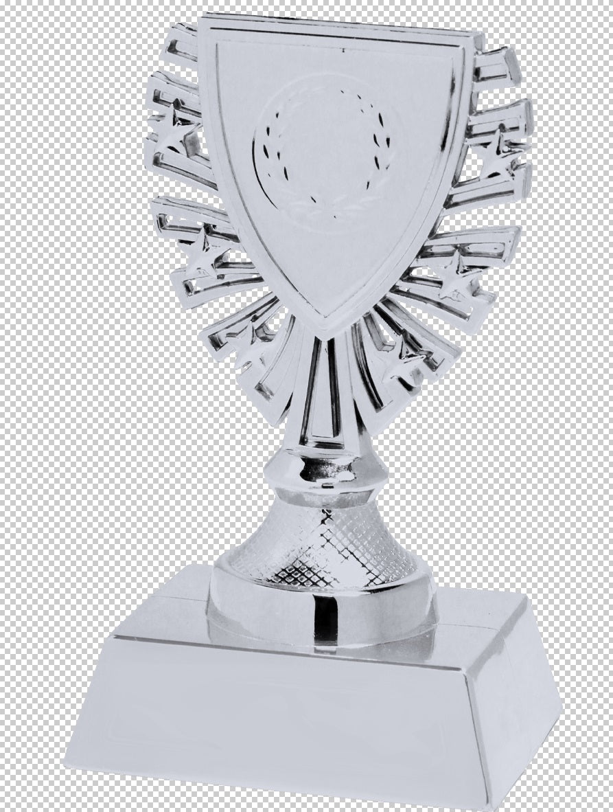 Souvenir en 3 couleurs (réf. X620)