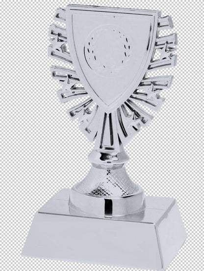 Souvenir en 3 couleurs (réf. X620)