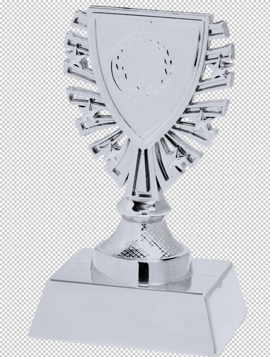 Souvenir en 3 couleurs (réf. X620)