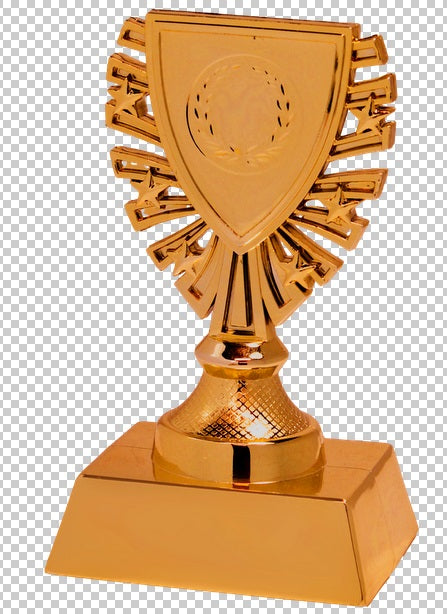 Souvenir en 3 couleurs (réf. X620)