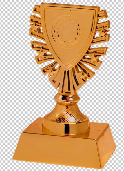 Souvenir en 3 couleurs (réf. X620)