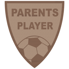 Souvenir en 3 couleurs (réf. X620)